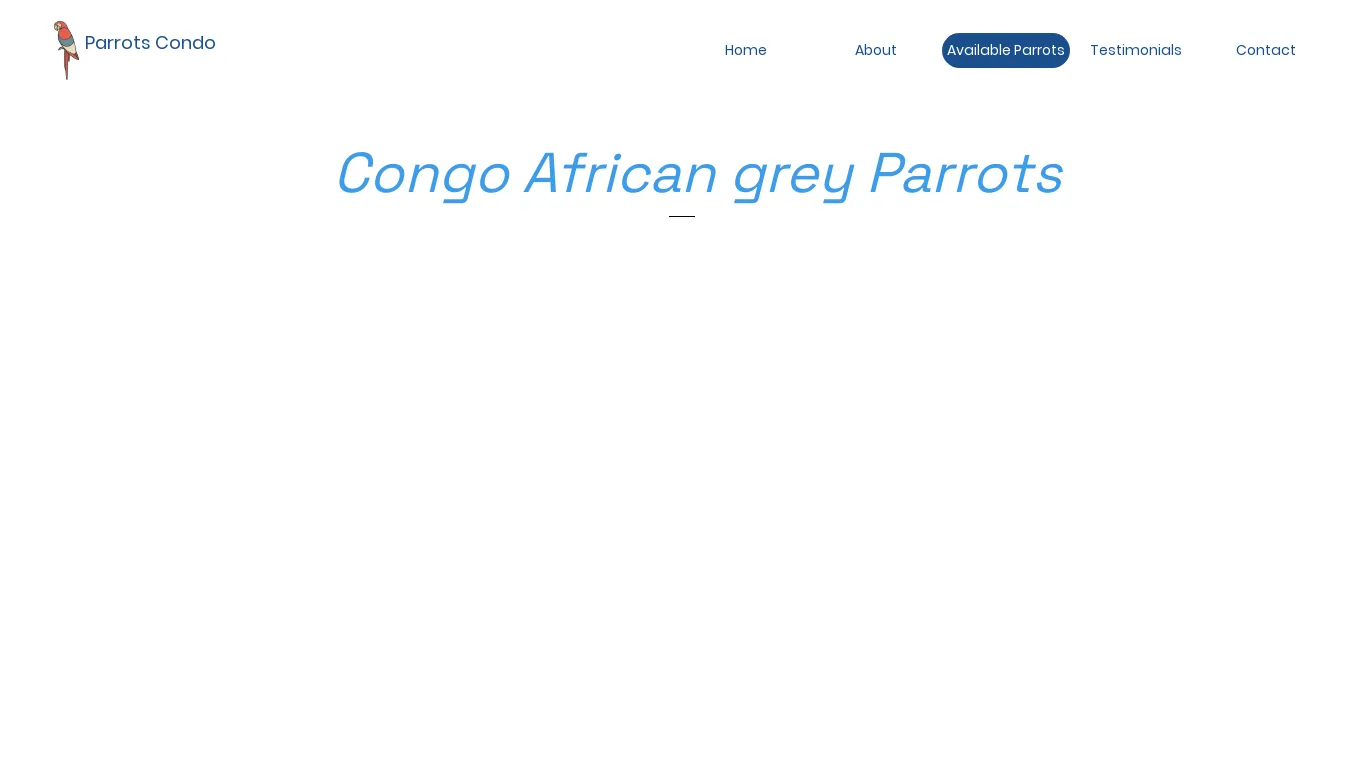 is Parrots Condo | African grey parrots for sale legit? screenshot