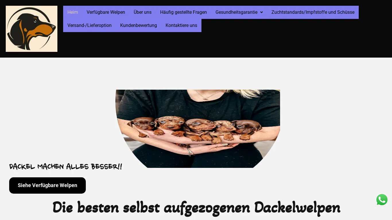 is Hans Dackel-Familie – Dackel-Welpen zu verkaufen legit? screenshot