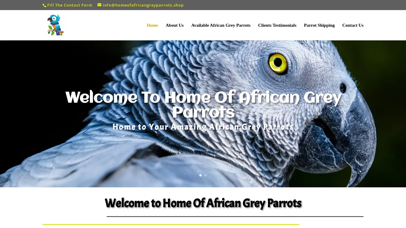 is Welcome to Home Of African Grey Parrots | Home to your Amazing African Grey Parrots legit? screenshot