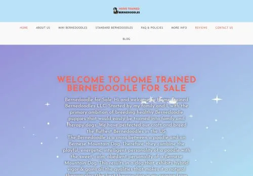 is Bernedoodle for Sale | Home Trained Bernedoodles legit? screenshot