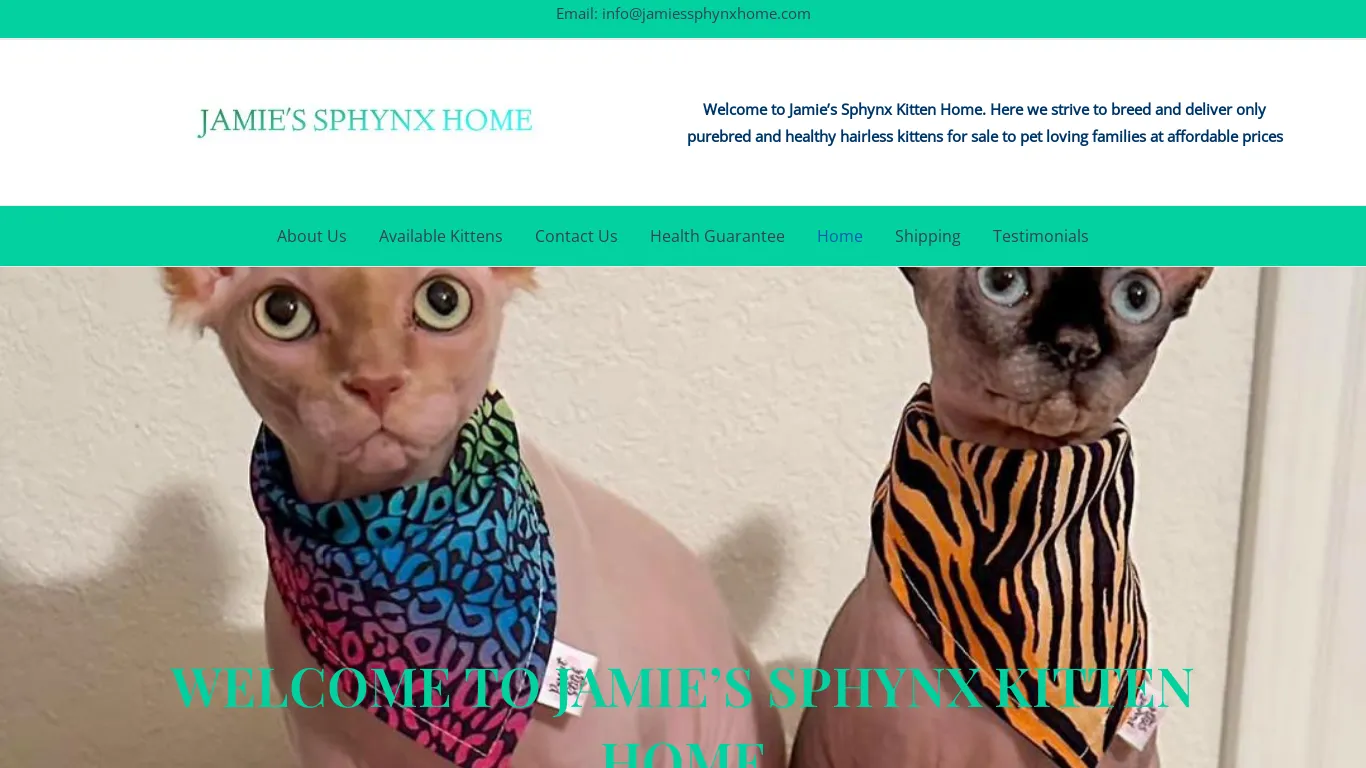 is Hairless kittens for sale legit? screenshot