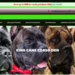 Is Kingcanecorsoden.com legit?