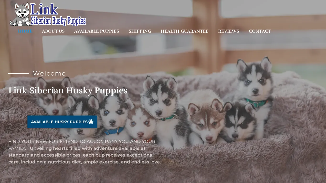 is Link Siberian Husky Puppies – Cute Healthy Blue Eye Siberian Husky Puppies For Sale legit? screenshot