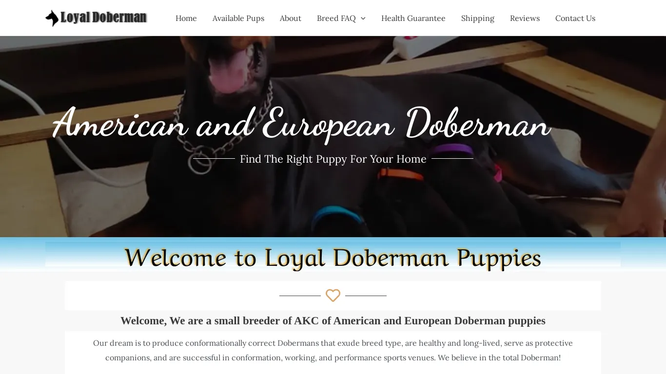 is Loyal Doberman Puppies legit? screenshot
