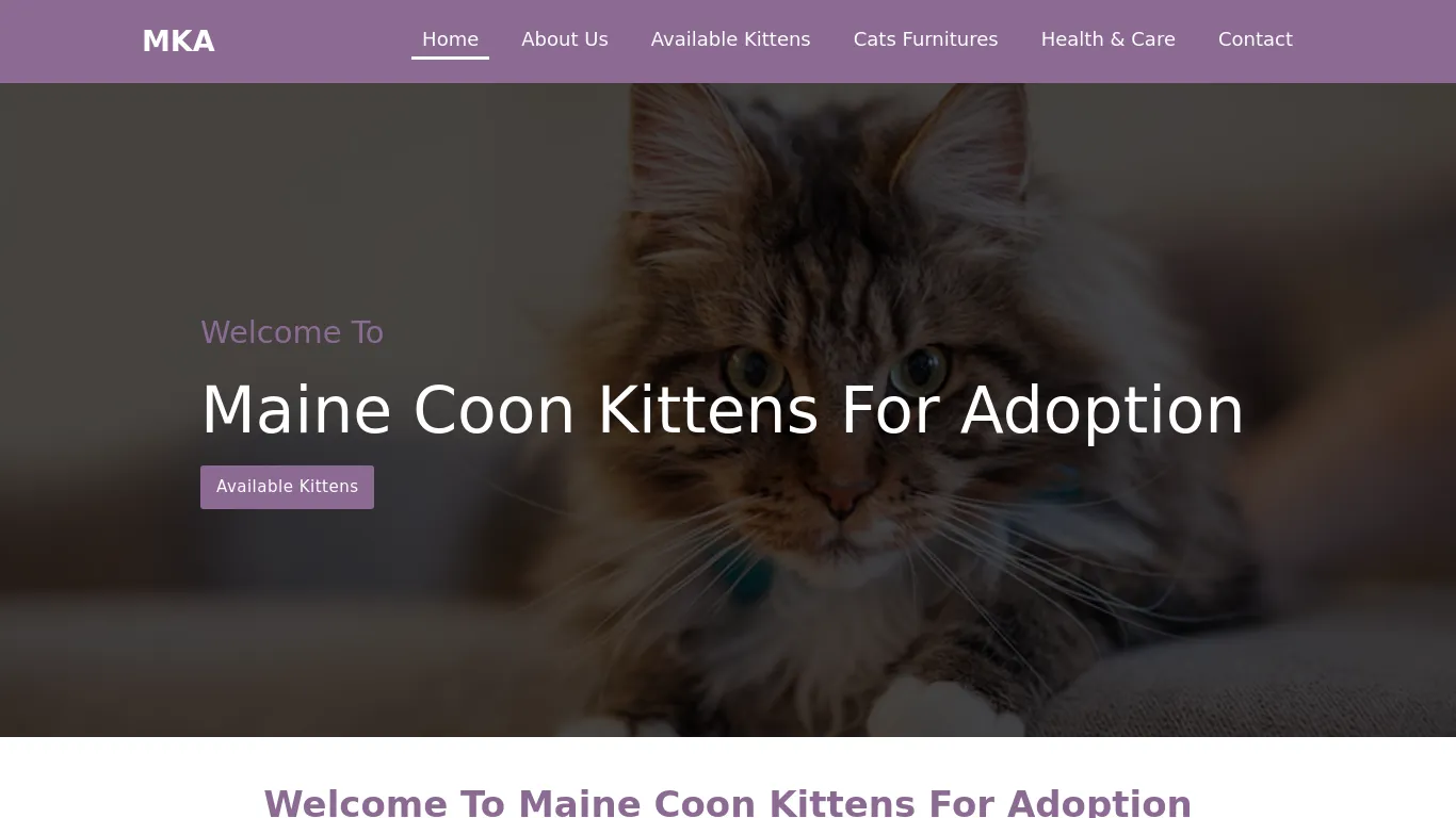 is Maine Coon Kittens For Adoption – Maine Coon Kittens For Adoption legit? screenshot
