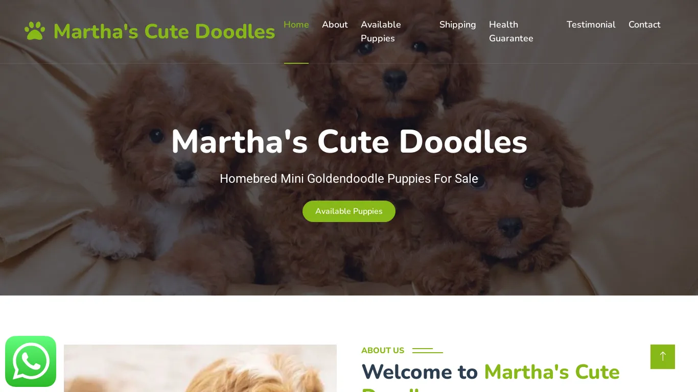 is Martha's Cute Doodles - Homebred Mini Goldendoodle Puppies For Sale legit? screenshot