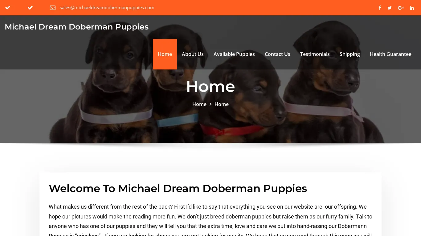 is Michael Dream Doberman Puppies legit? screenshot