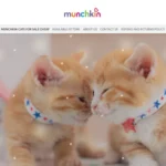 Is Munchkin4sale.com legit?