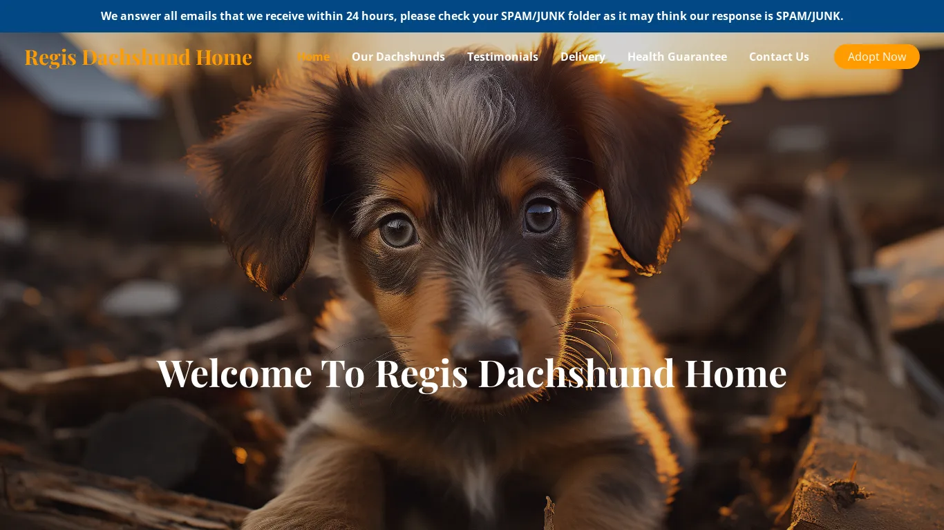 is Regis Dachshund Home – Purebred Dachshunds For Sale legit? screenshot