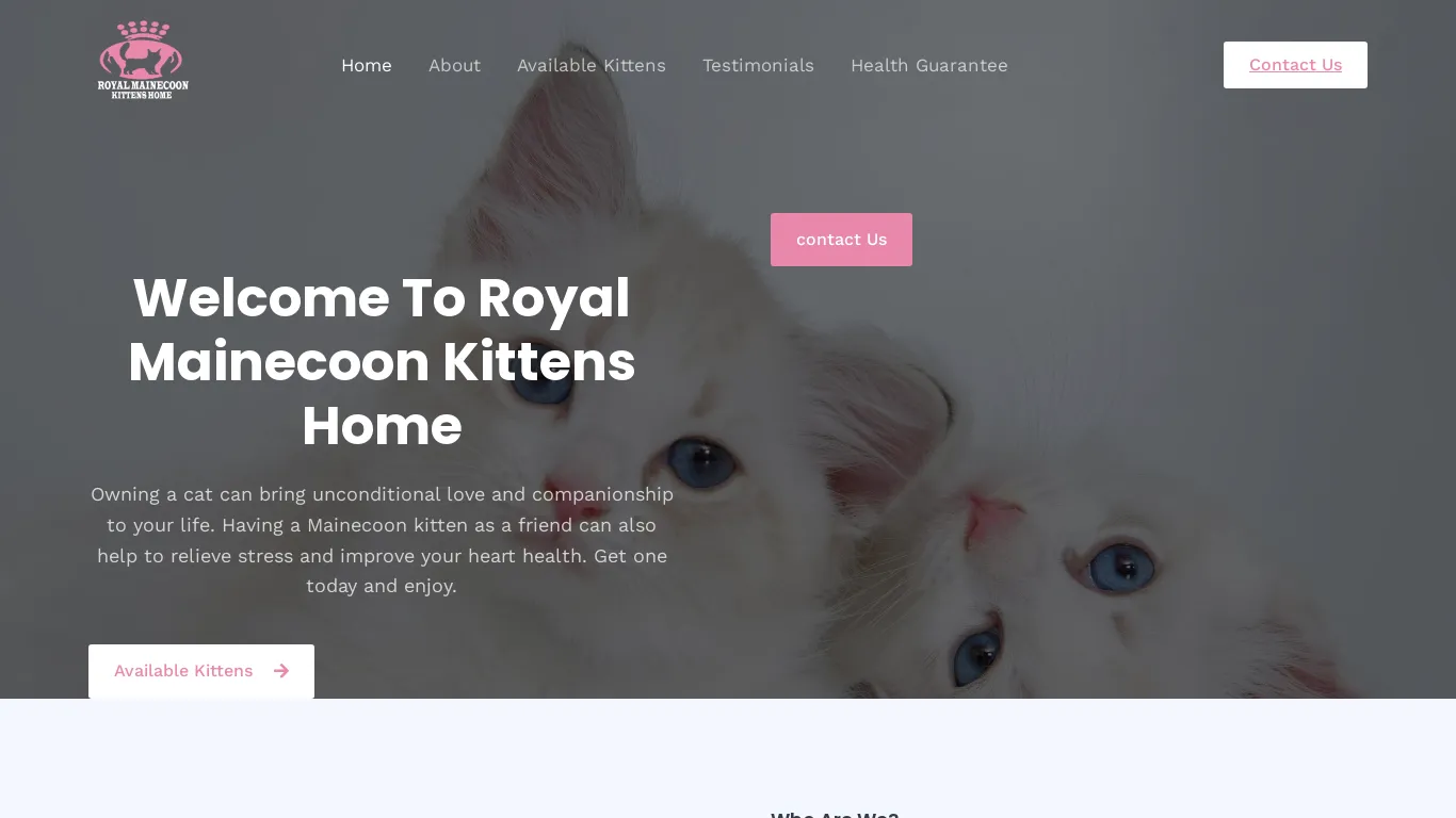 is Royal Mainecoon Kittens Home – Cute Cats Only legit? screenshot