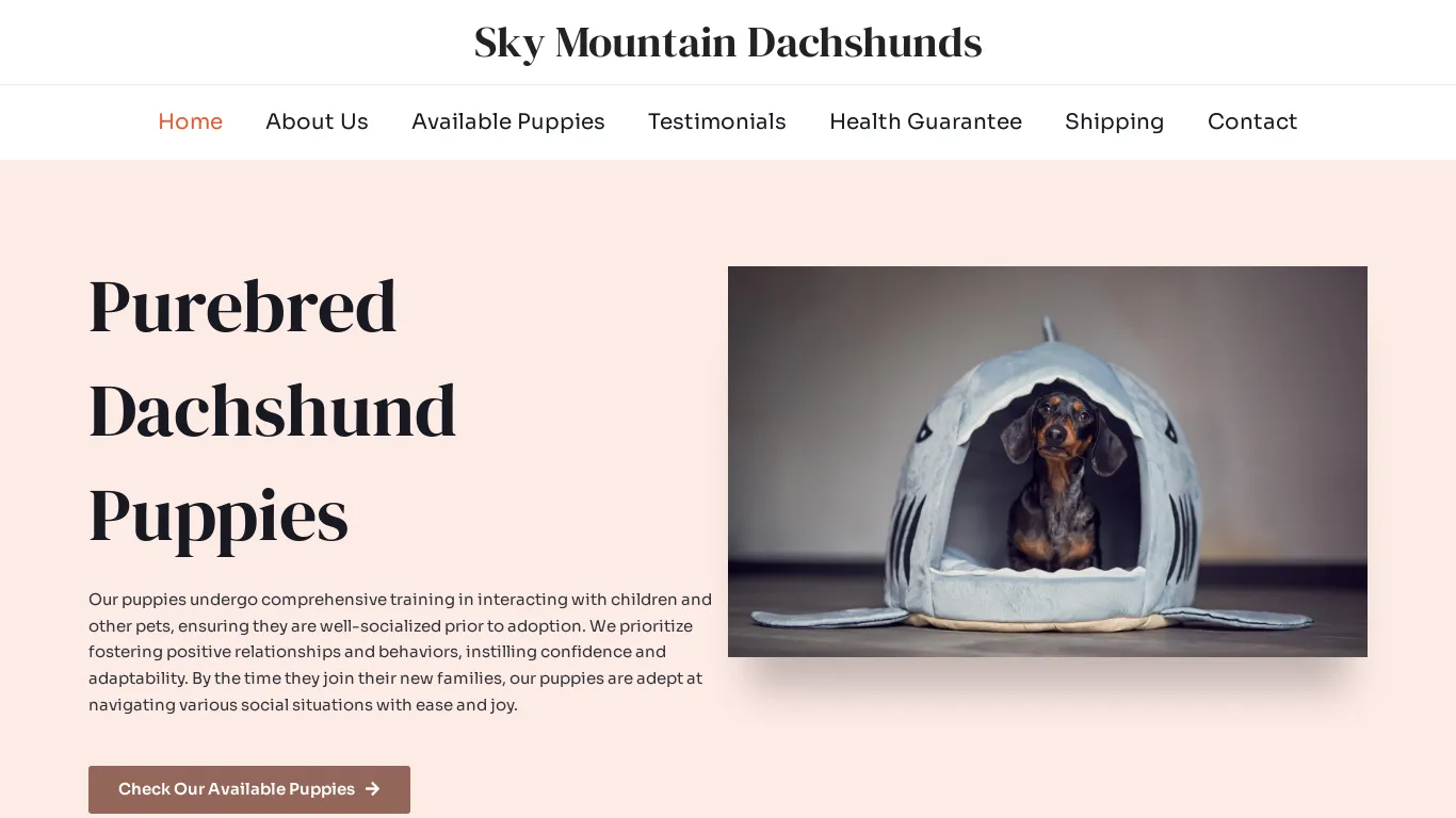 is Sky Mountain Dachshunds – Purebred Dachshund Puppies For Sale legit? screenshot