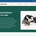 Is Spencerdachshunds.com legit?