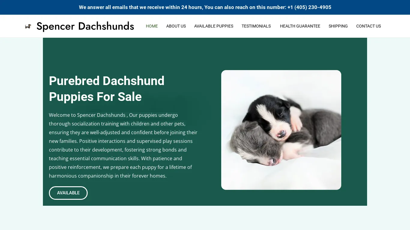 is Spencer Dachshunds – Purebred Dachshund Puppies For Sale legit? screenshot