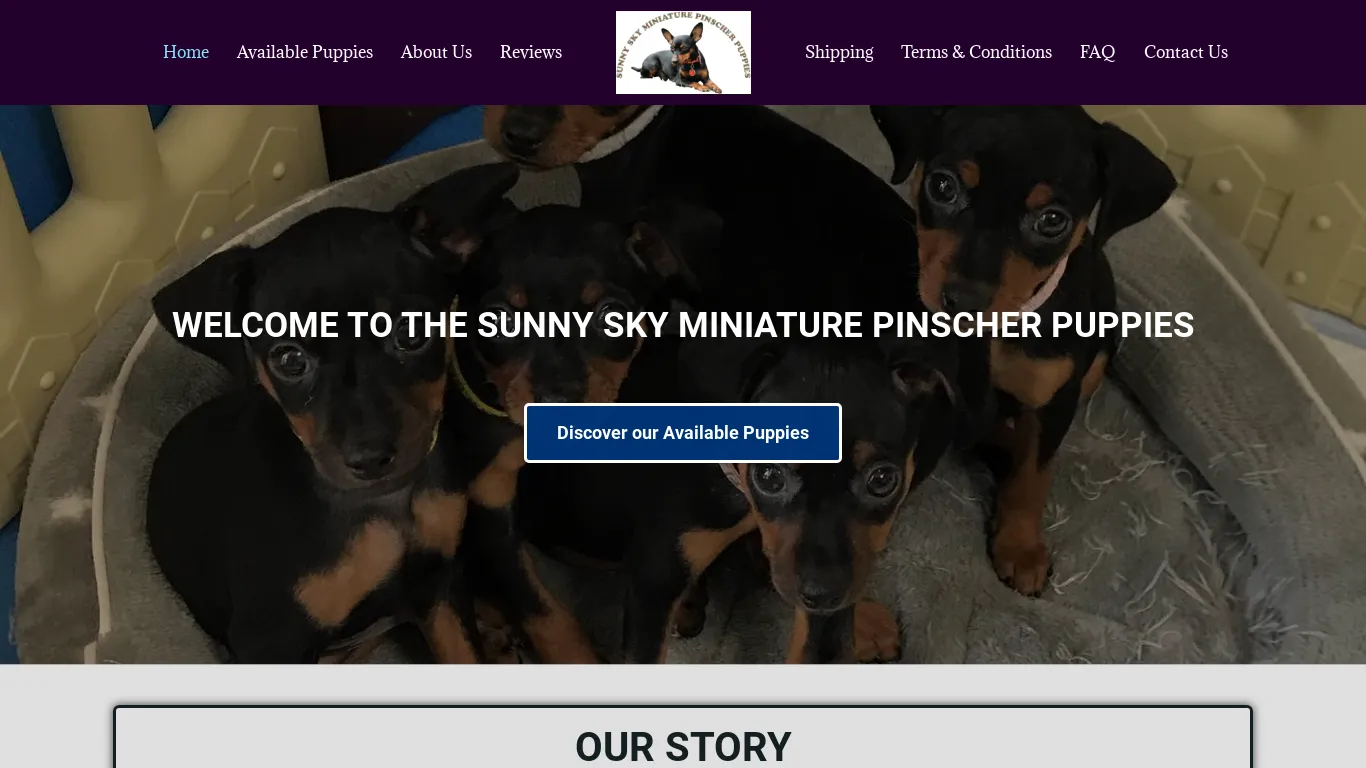 is Sunny Sky Miniature Pinscher Puppies – Miniature Pinscher Puppies legit? screenshot
