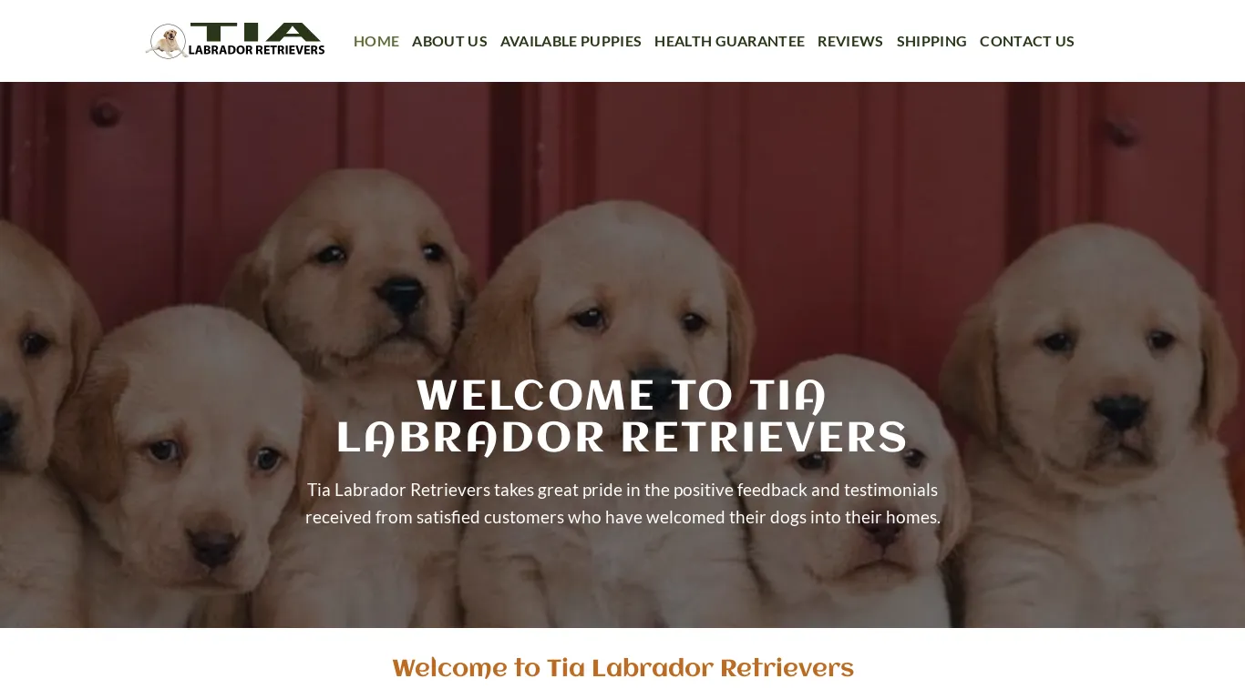 is Tia Labrador Retrievers – Labrador Retriever Puppies for sale legit? screenshot