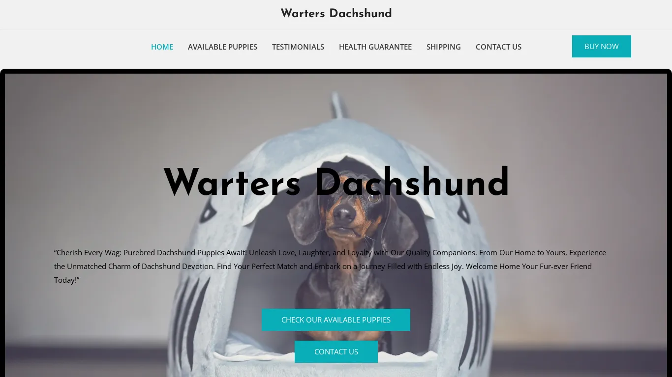 is Warters Dachshund – Purebred Dachshund Puppies For Sale legit? screenshot