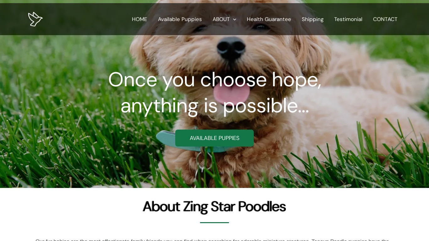 is zingstarpoodles.com legit? screenshot