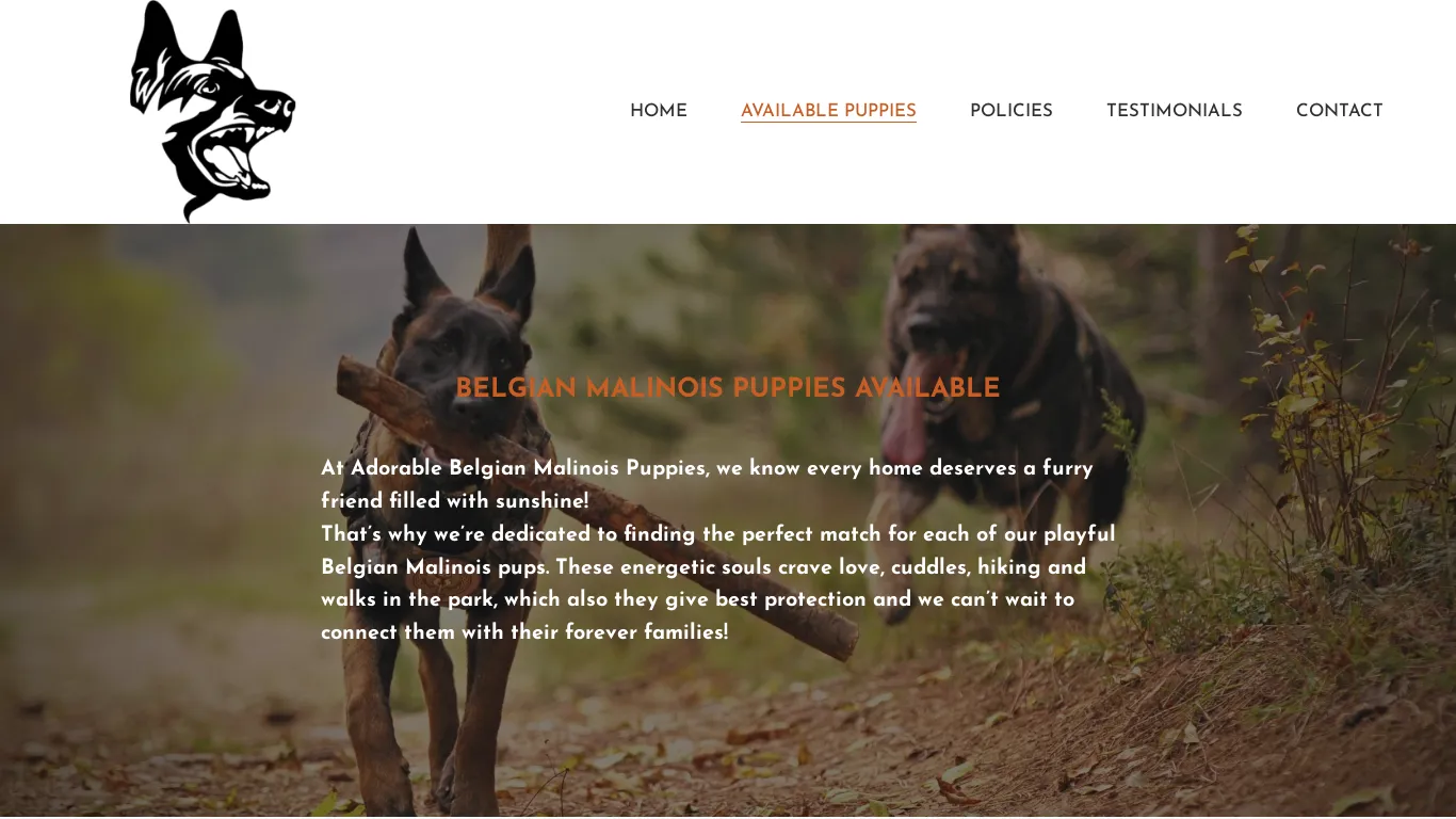 is Adorable Belgian Malinois Puppies legit? screenshot