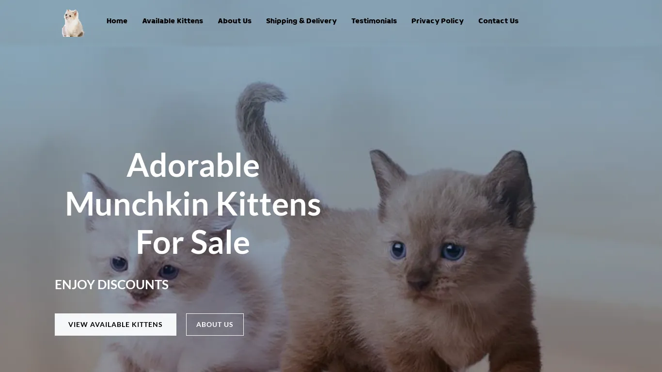 is ADORABLE MUNCHKIN KITTENS HOME – Munchkin Kittens for sale legit? screenshot