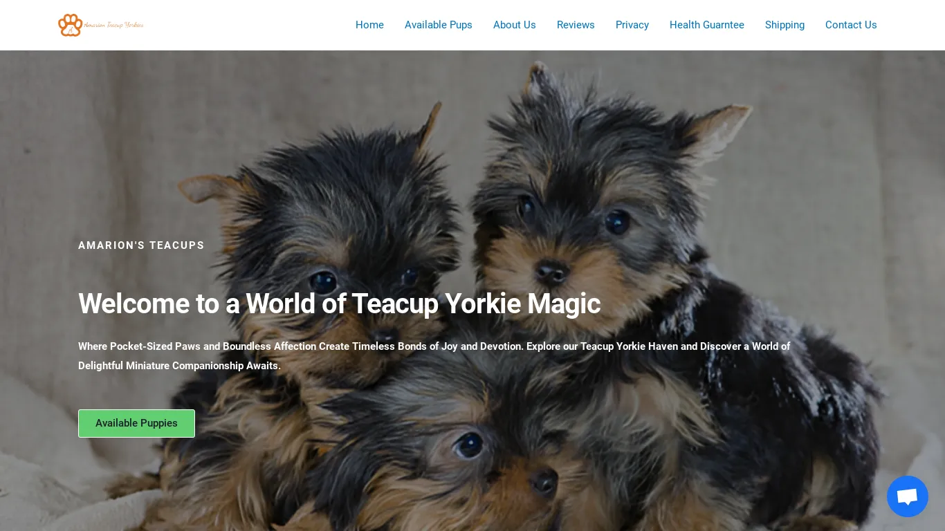 is Amarion's Teacup Yorkies – Best quality teacup yorkies puppies legit? screenshot