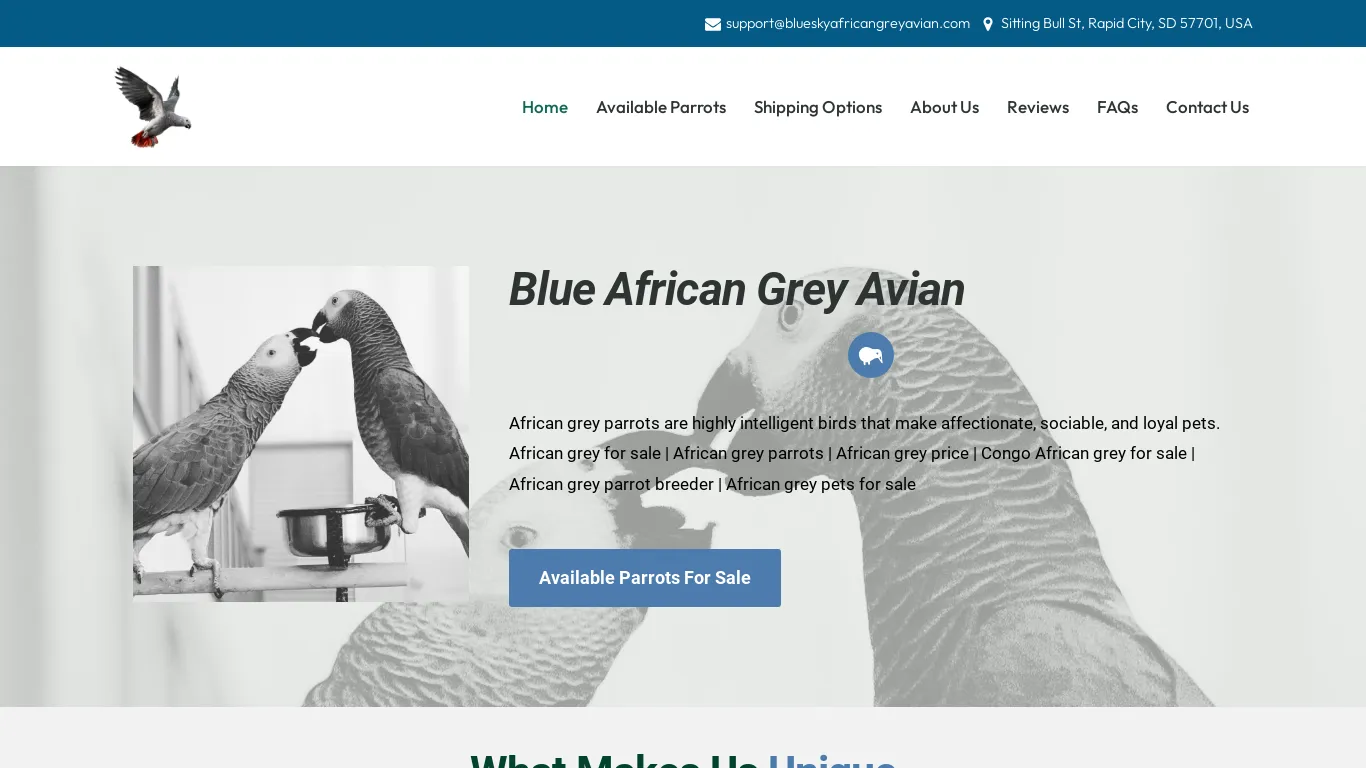 is African Grey Parrots For Sale legit? screenshot