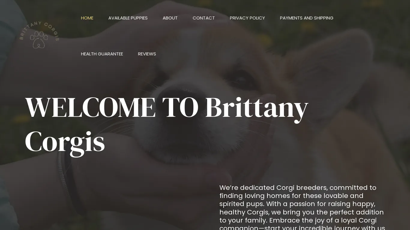 is Brittany Corgis – Treasha Corgis legit? screenshot