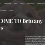 Is Brittanycorgis.com legit?