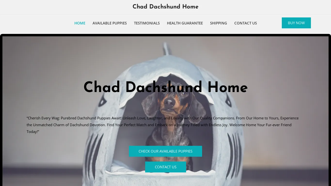 is Chad Dachshund Home – Purebred Dachshund Puppies For Sale legit? screenshot