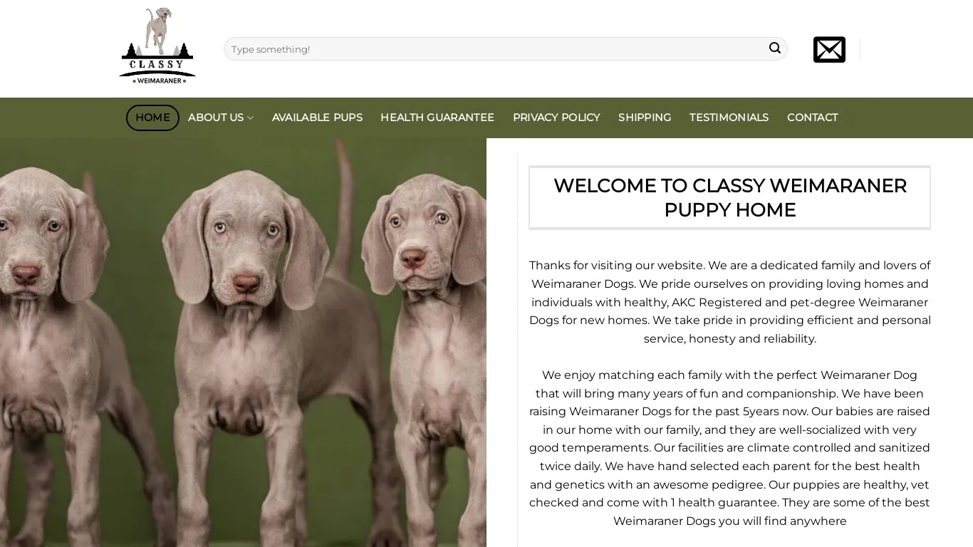 is Classy Weimaraner Puppy Home – Cane Corso Puppies for sale legit? screenshot