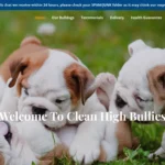 Is Cleanhighbullies.com legit?