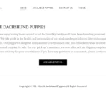 Is Gentledachshundpuppies.com legit?