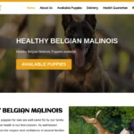 Is Healthybelgianmalinois.com legit?