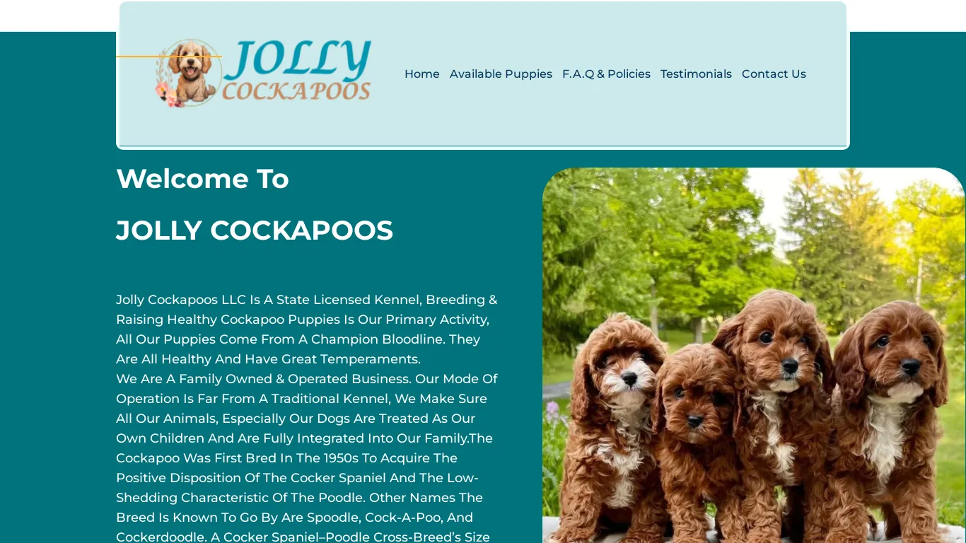 is Jolly Cockapoos – Registered Cockapoo Puppies legit? screenshot