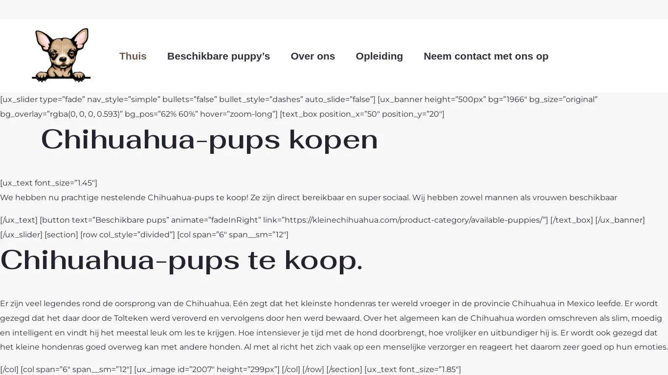 is kleinechihuahua.com – Chihuahua-pups kopen legit? screenshot
