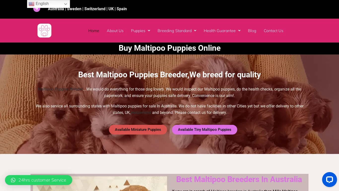 is Maltipoo Puppies For Near Me In Australia, Swiss, Sweden, UK, NZ, legit? screenshot