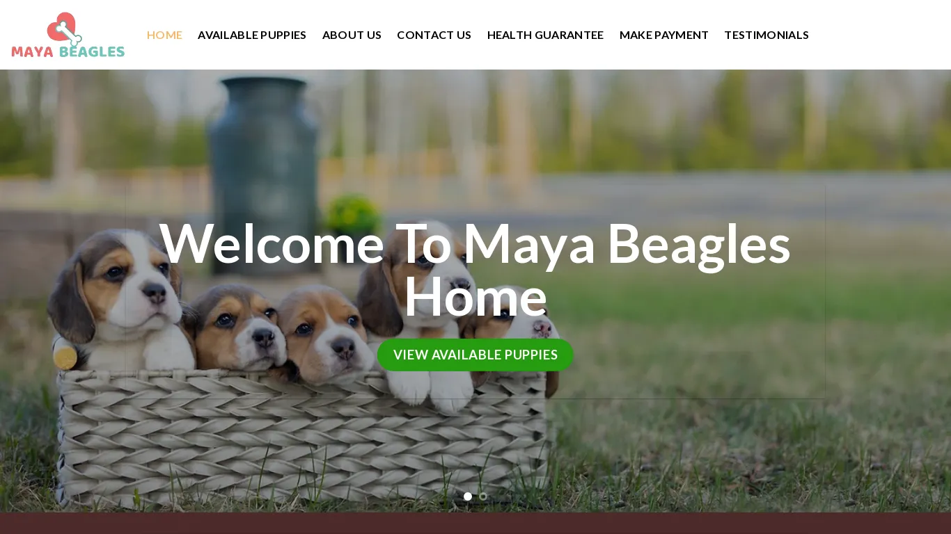 is Maya Beagles Home  – REPUTABLE BEAGLE BREEDERS  FOR RESPONSIBLE OWNERS legit? screenshot