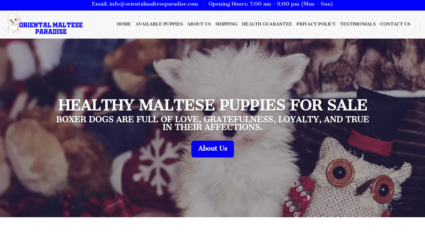 is Oriental Maltese Paradise – Buy Your Maltese Puppy Online legit? screenshot