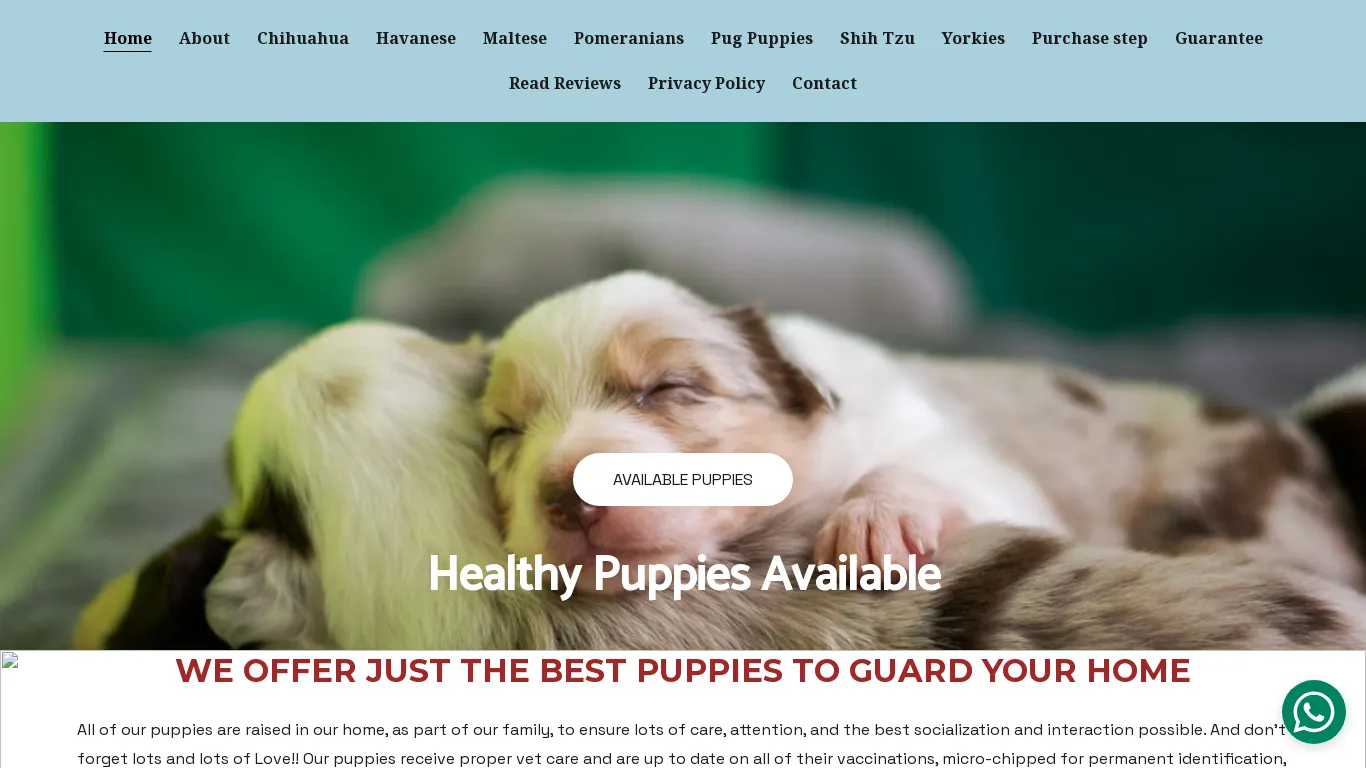 is Healthy Puppies for Sale | Guard Dogs for Sale | French Bulldogs for sale legit? screenshot