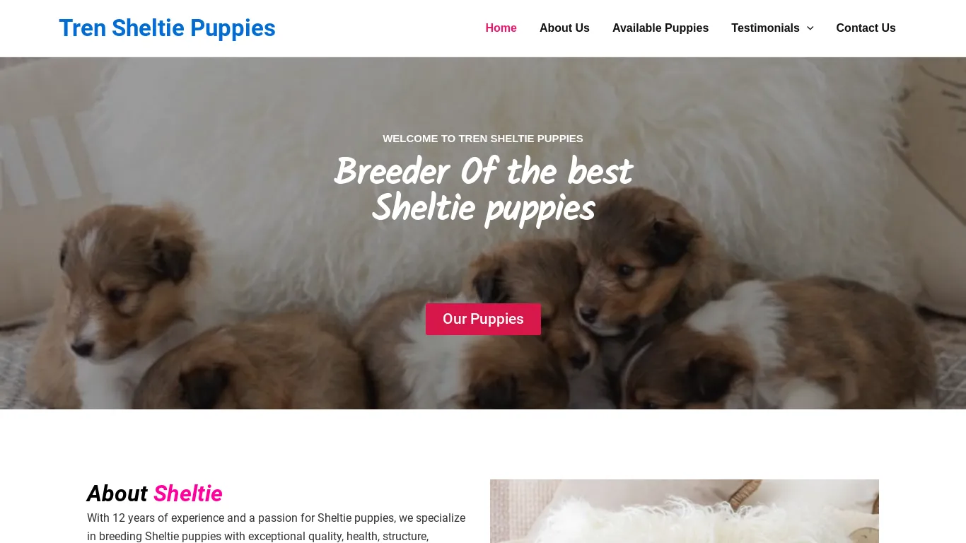 is Tren Sheltie Puppies – Mini Sheltie Puppies For Sale legit? screenshot