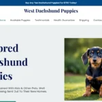 Is Westdachshundpuppies.com legit?