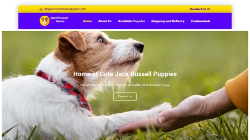 A screenshot of 888jackrussellhome.com