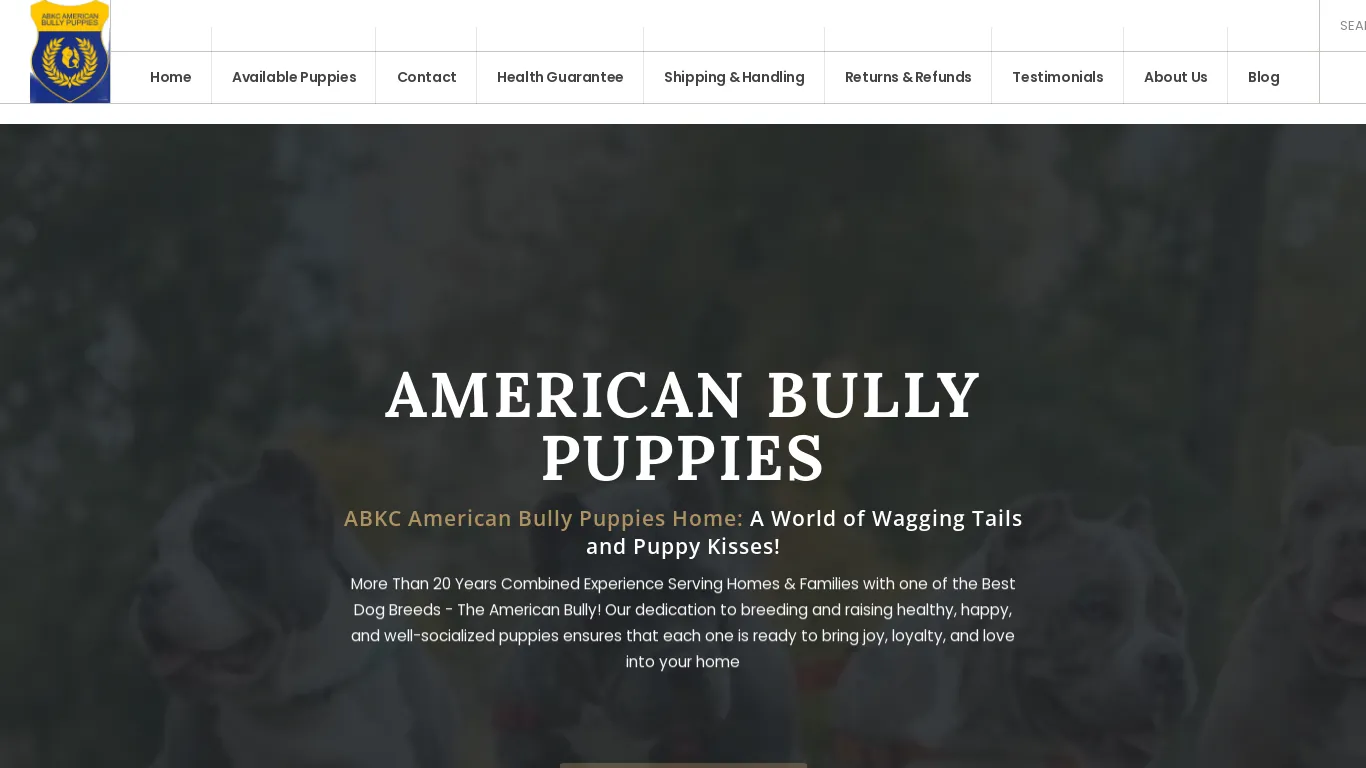 is Abkc American Bully Puppies – American Bully Puppies For Sale legit? screenshot