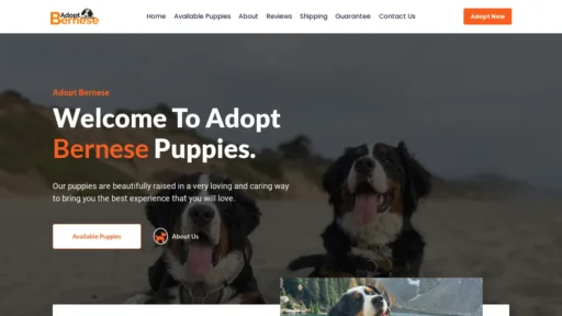 A screenshot of Adoptbernese.com