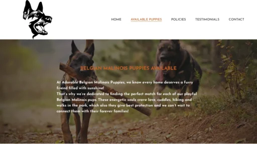 A screenshot of Adorablebelgianmalinoispuppies.com