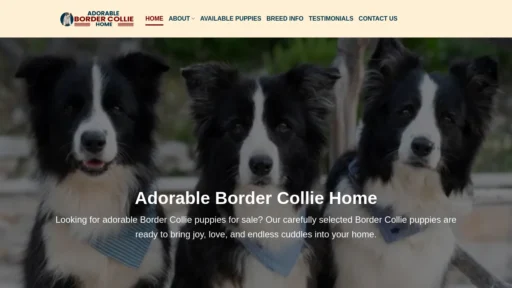 A screenshot of Adorablebordercolliehome.com