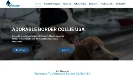 A screenshot of Adorablebordercollieusa.com