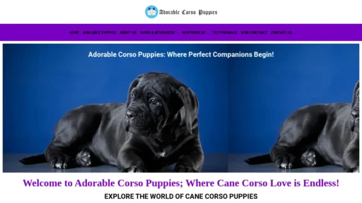 A screenshot of Adorablecorsopuppies.com
