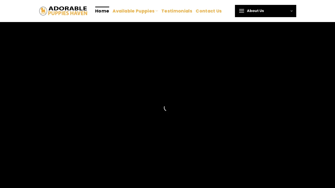 is Adorable Puppies Haven – Puppies for sale in UK legit? screenshot