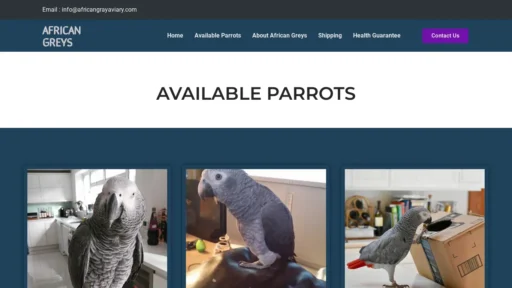 A screenshot of Africangrayaviary.com