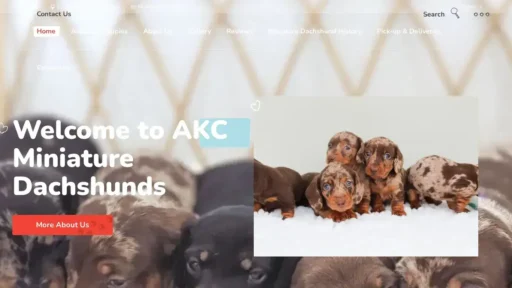 A screenshot of Akcminiaturedachshunds.com